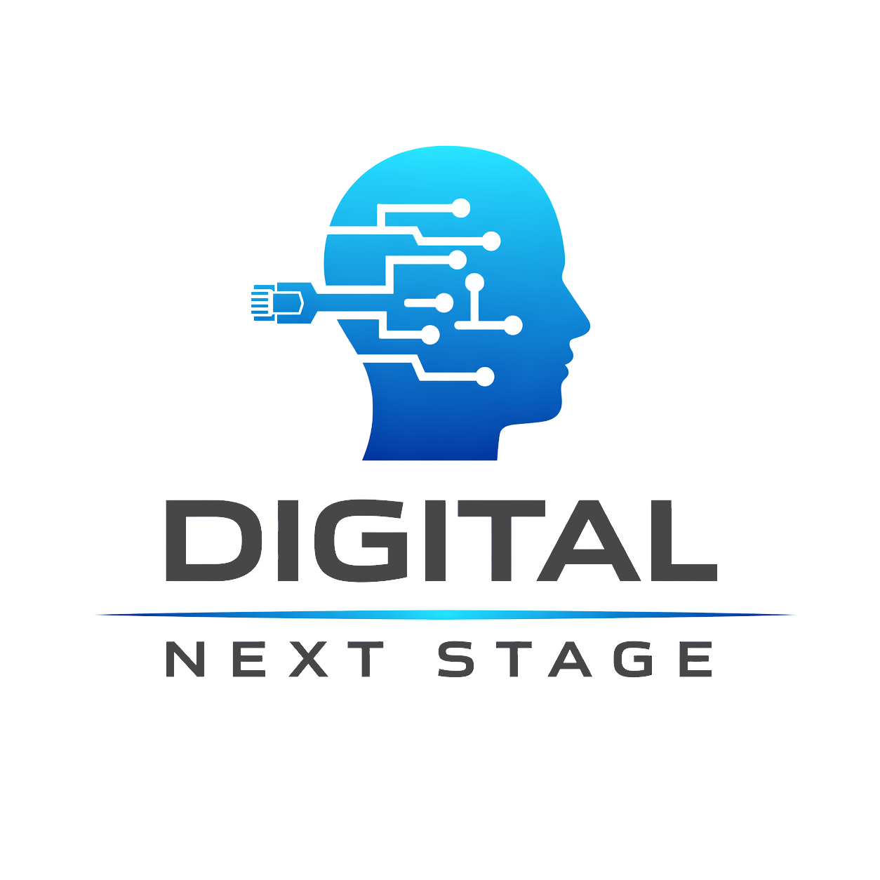 Digital Next Stage Logo